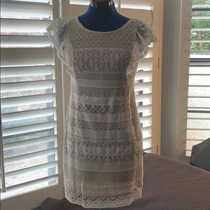 Bcbg Nude and white lace cocktail dress